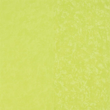 Papier peint P576-14 KALPANA - LIME - Designers Guild