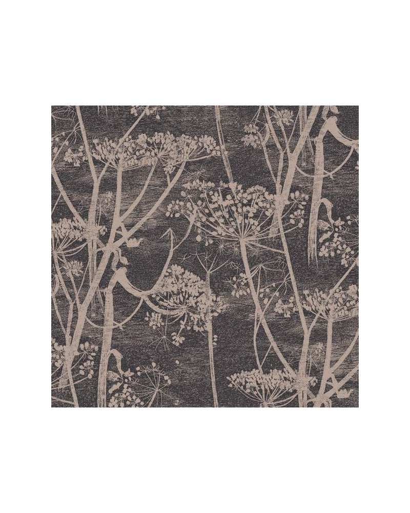 Wallpaper Cow Parsley 66-7048 - COLE and SON