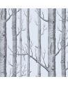 Wallpaper Woods 69-12150 - COLE and SON