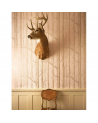 Wallpaper Woodstock 69-7126 - COLE and SON