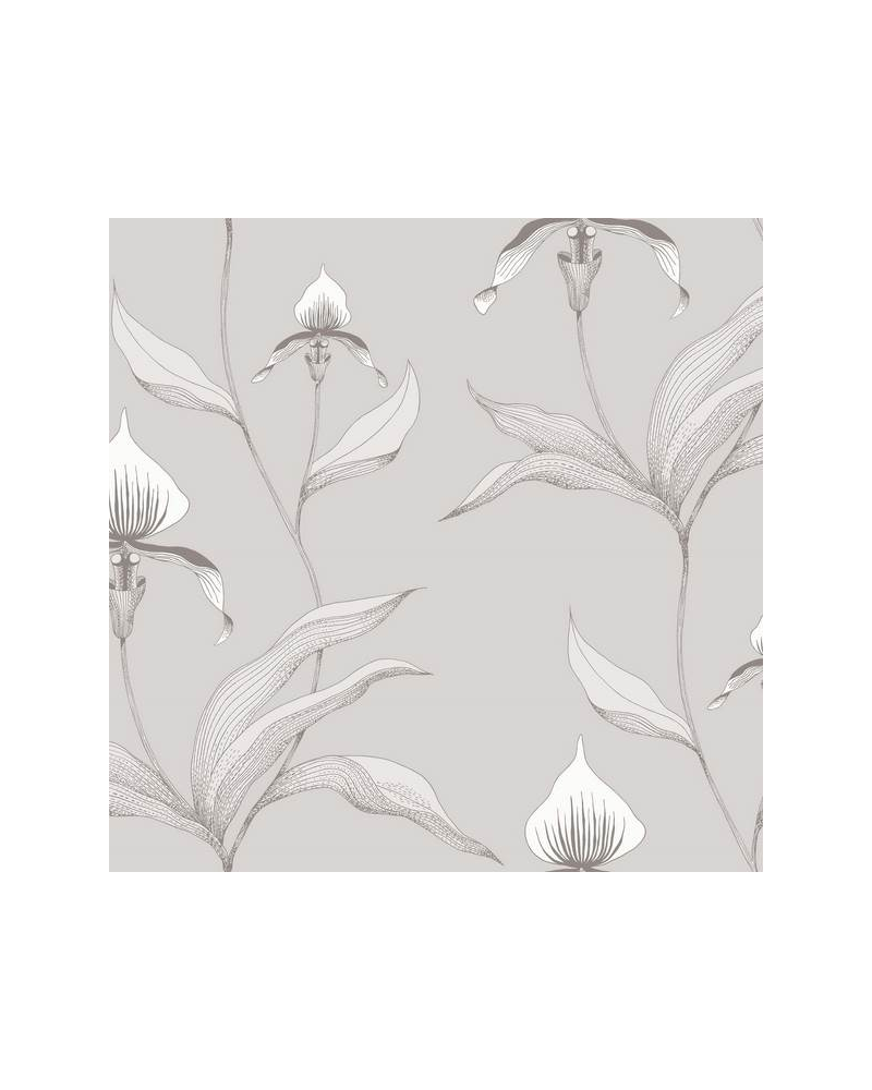 Papel Pintado Orchid 95-10055 - COLE and SON