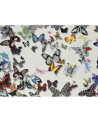 Tissus FCL025-01 BUTTERFLY PARADE - OPALIN CHRISTIAN LACROIX