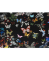 Fabric FCL025-03 BUTTERFLY PARADE - OSCURO CHRISTIAN LACROIX