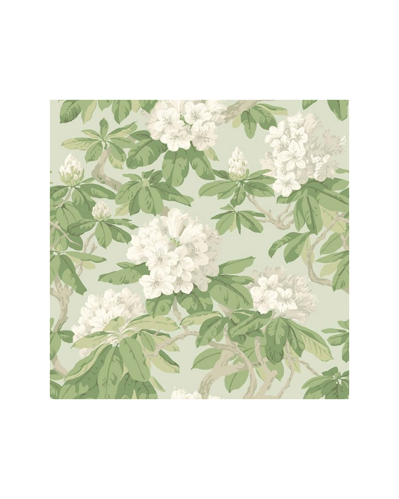 Papel Pintado Bourlie 99-4022 - COLE and SON