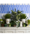 Wallpaper Parterre Border 99-3016 - COLE and SON