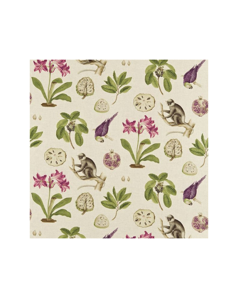 Fabric CAPUCHINS DVOY223274-boysenberry Sanderson