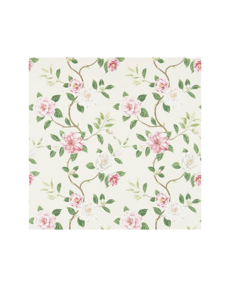 Fabric CHRISTABEL DVOY223286-coral ivory Sanderson