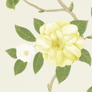 Tapete CHRISTABEL DVOY213377-yellow ivory - Sanderson