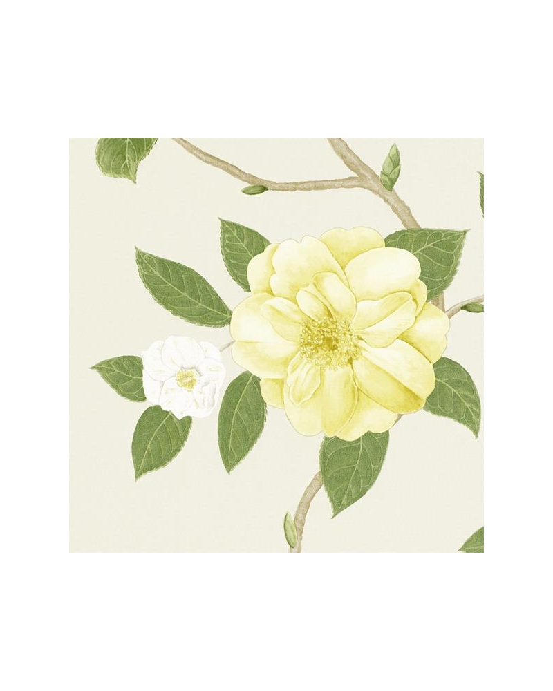 Carta da Parati CHRISTABEL DVOY213377-yellow ivory - Sanderson