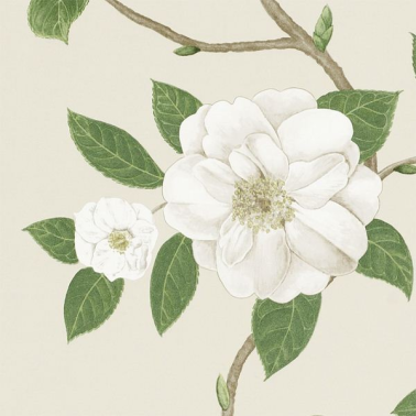 Papier peint CHRISTABEL DVOY213380-ivory cream - Sanderson