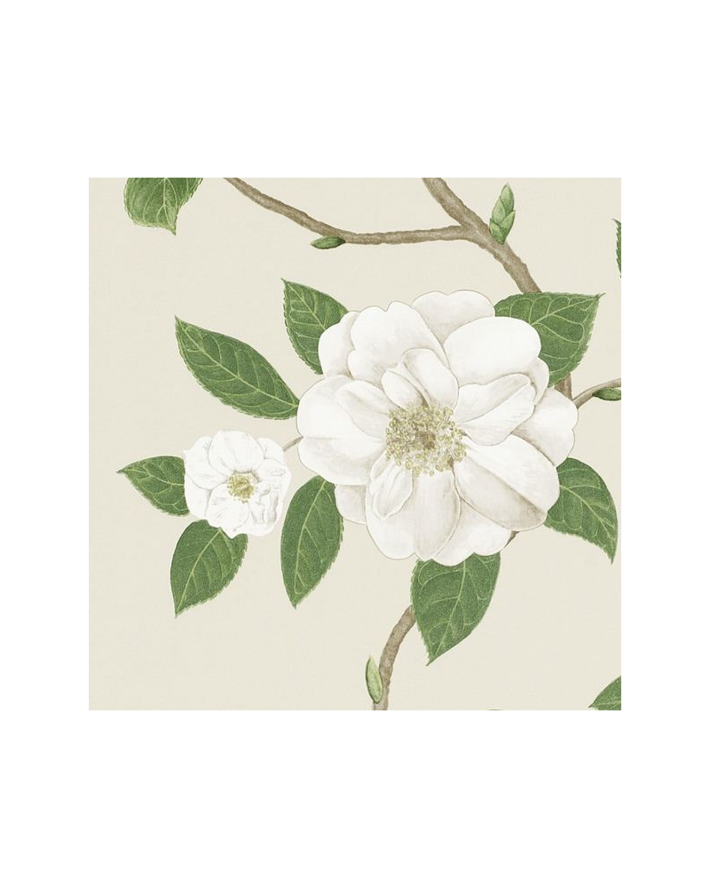 Papier peint CHRISTABEL DVOY213380-ivory cream - Sanderson