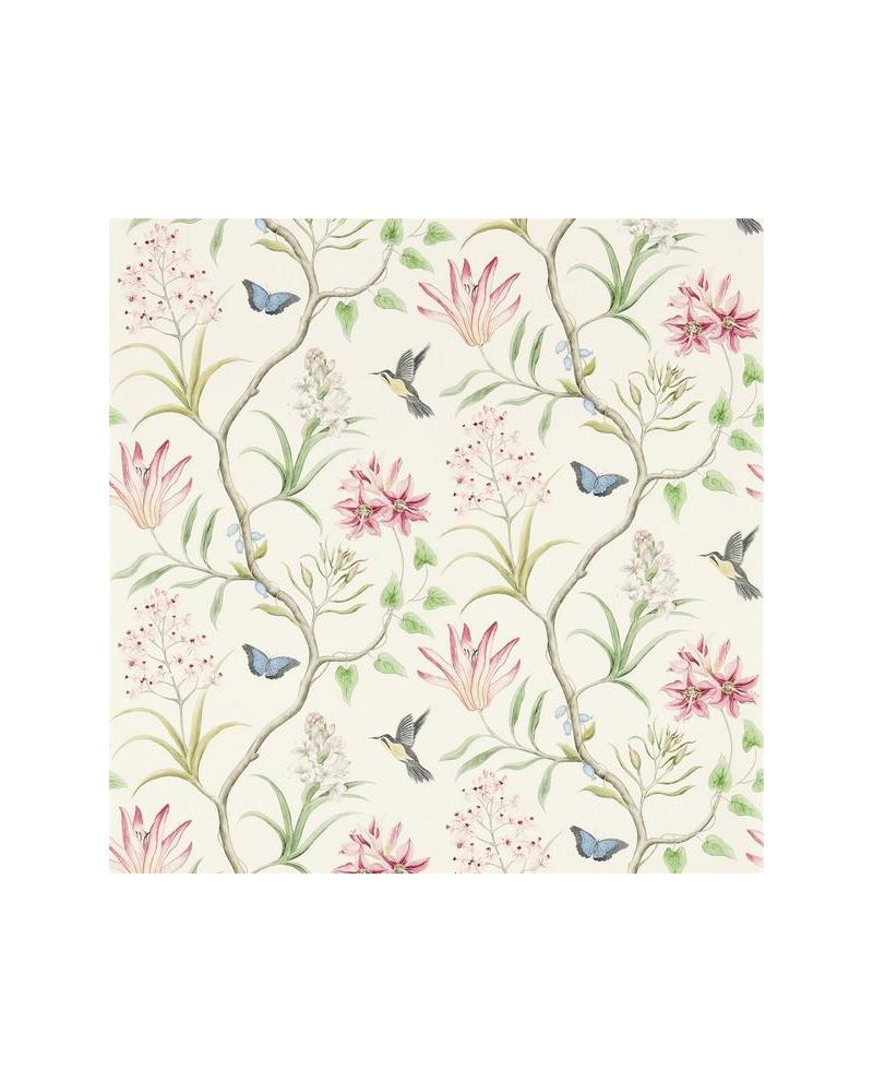 Carta da Parati CLEMENTINE DVOY213388-chintz - Sanderson