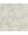 Papel Pintado PDG640/03 BOTTICINO PEWTER - Designers Guild