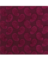 ZJAI331668-burgundy-orissa velvet