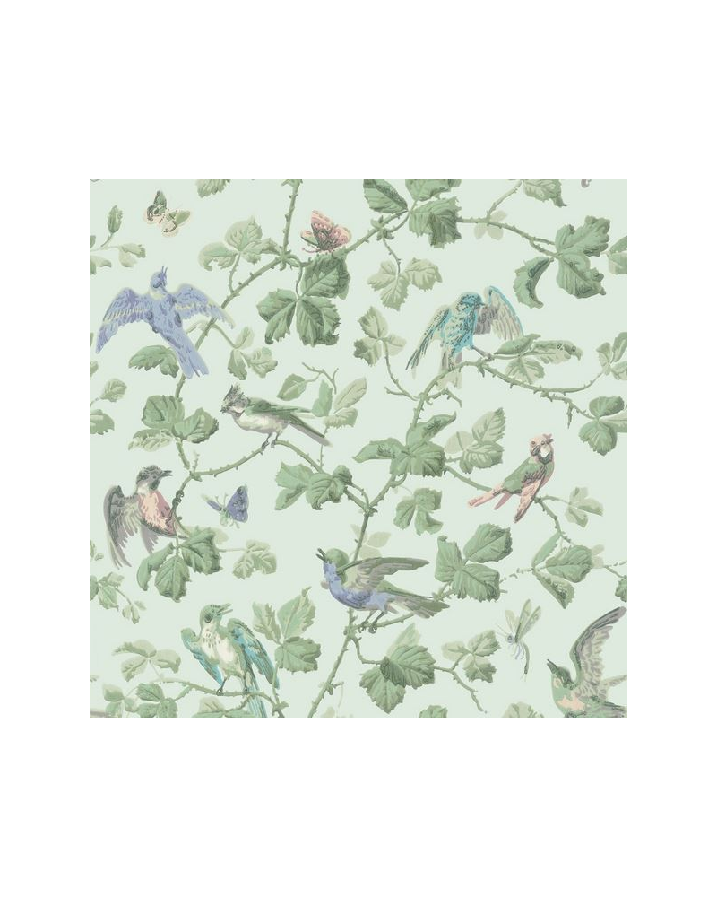 Carta da Parati Winter Birds 100-2007 - COLE and SON