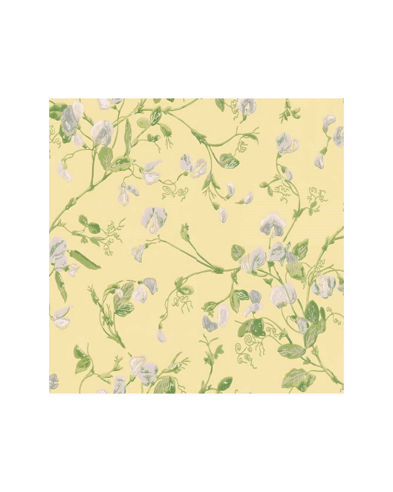 Carta da Parati Sweet Pea 100-6029 - COLE and SON