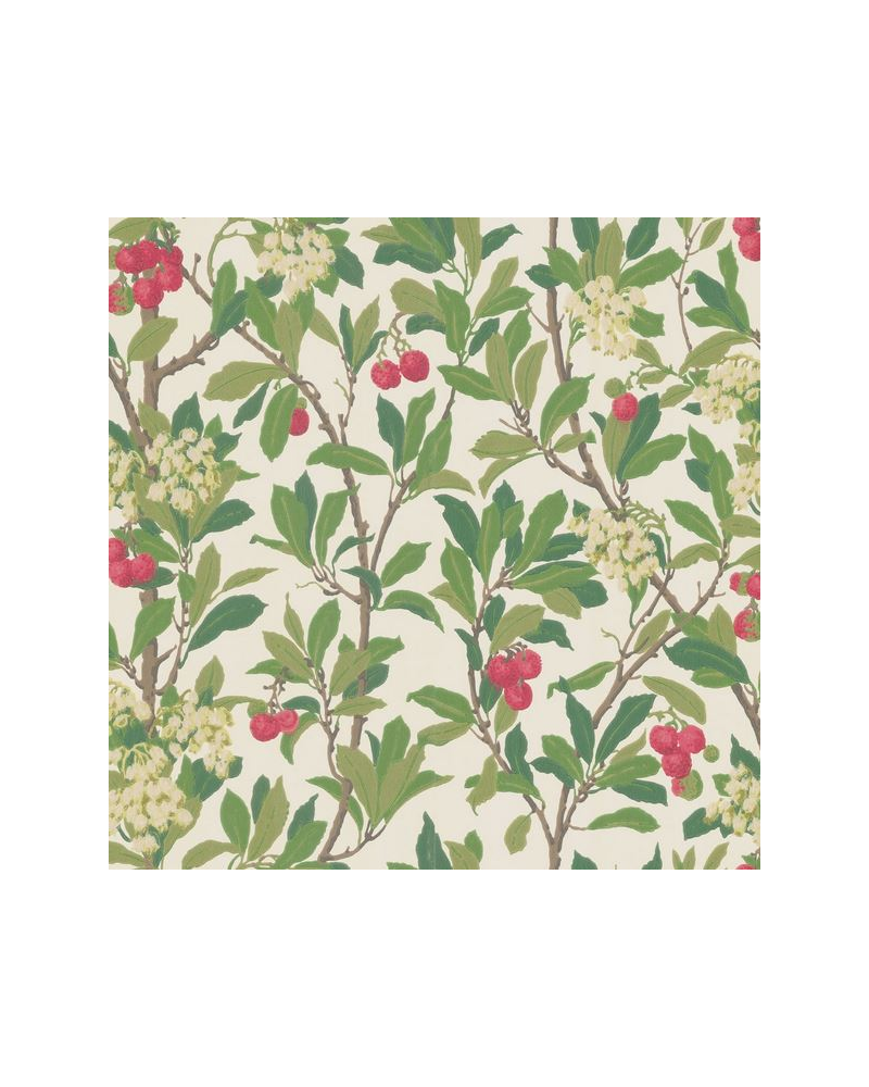 Wallpaper Strawberry Tree 100-10049 - COLE and SON