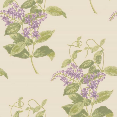 Papel Pintado Madras Violet 100-12056 - COLE and SON