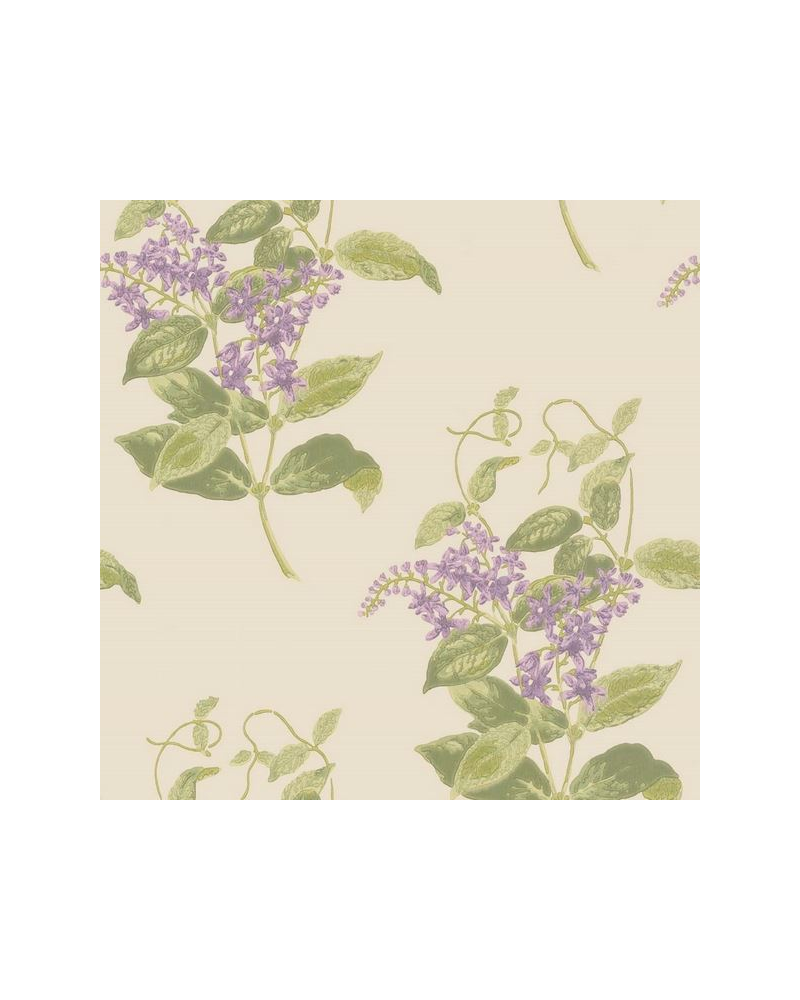 Papel Pintado Madras Violet 100-12056 - COLE and SON