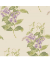 Papel Pintado Madras Violet 100-12056 - COLE and SON