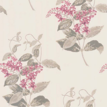 Papel de parede Madras Violet 100-12058 - COLE and SON