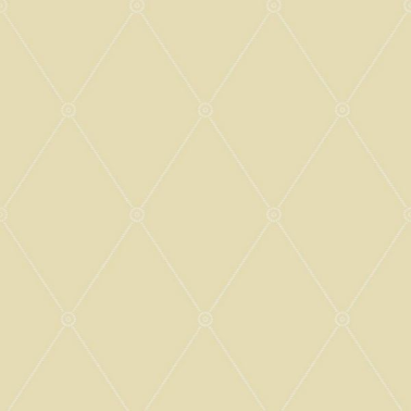 Papier peint Large Georgian Rope Trellis 100-13063 - COLE and SON