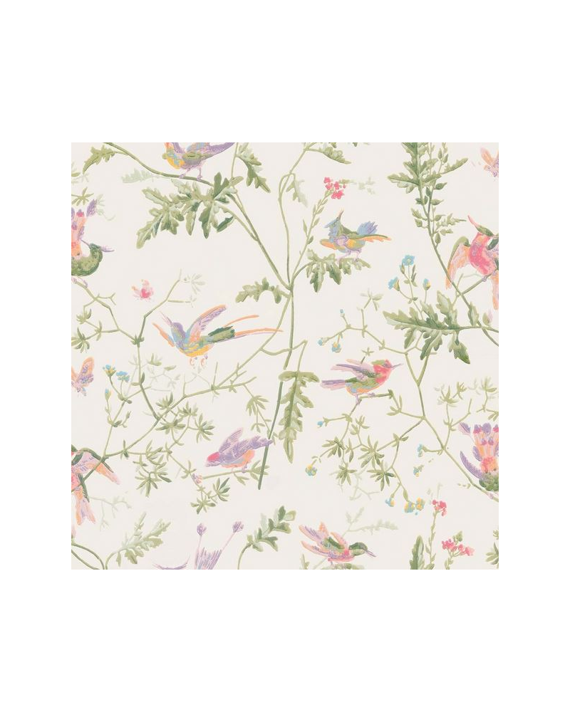 Papel de parede Hummingbirds 100-14067 - COLE and SON