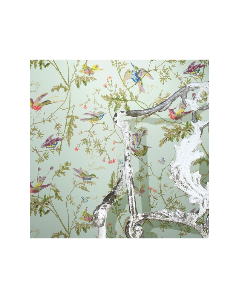 Papel de parede Hummingbirds 100-14067 - COLE and SON