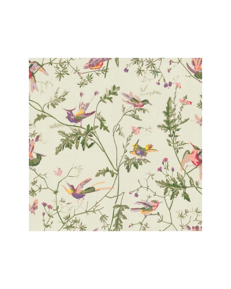 Papel de parede Hummingbirds 100-14070 - COLE and SON