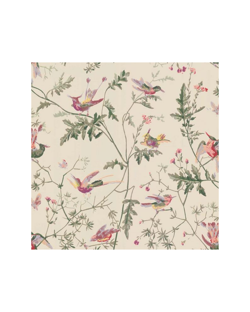 Papel de parede Hummingbirds 100-14071 - COLE and SON