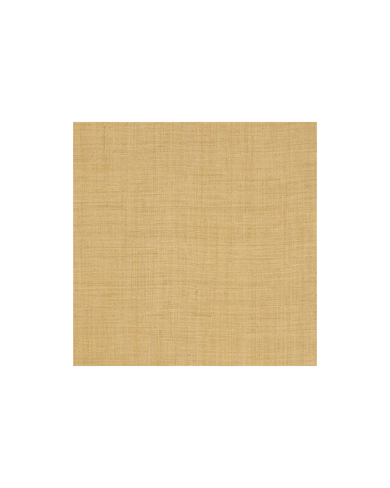 Tapete T13039-straw-carolina raffia - THIBAUT