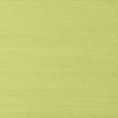 Papel de parede T41181-green-shang extra fine sisal - THIBAUT