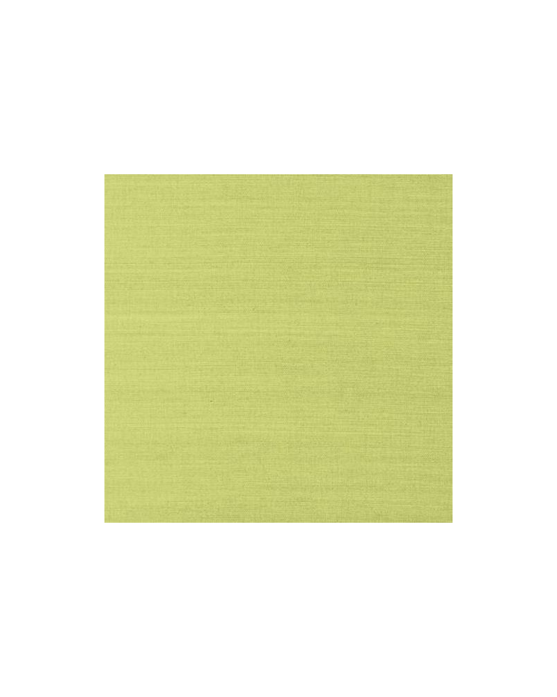 Tapete T41181-green-shang extra fine sisal - THIBAUT