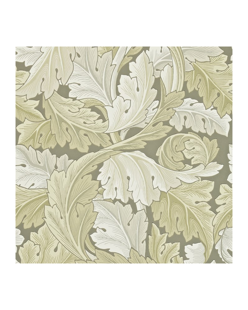 Papel Pintado ACANTHUS DARW212552 - MORRIS CO