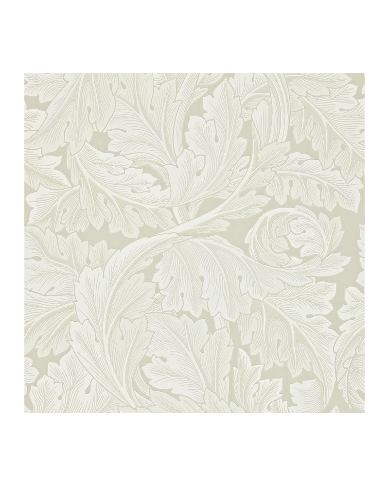 Papel de parede ACANTHUS DARW212554 - MORRIS CO