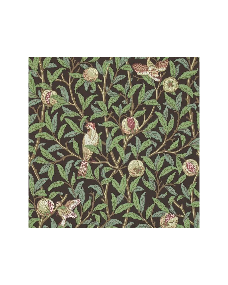 Wallpaper BIRD Y POMEGRANATE DARW212537 - MORRIS CO