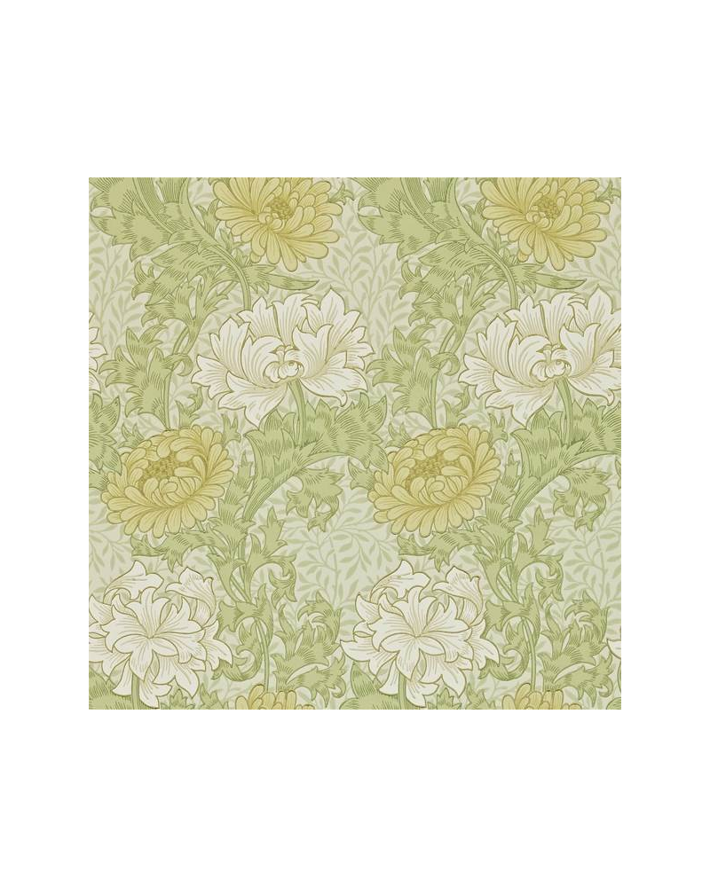 Papel de parede CHRYSANTHEMUM DARW212545 - MORRIS CO