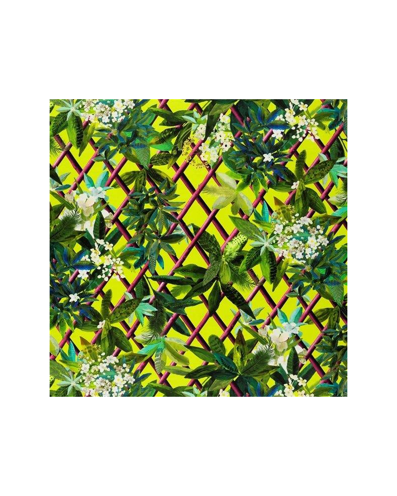 Tela FCL2276-03 CANOPY - LIME CHRISTIAN LACROIX