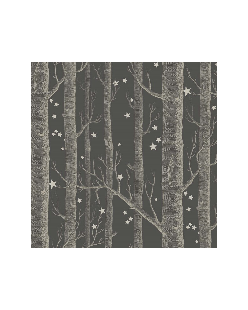 Papier peint Woods and Stars 103-11053 - COLE and SON