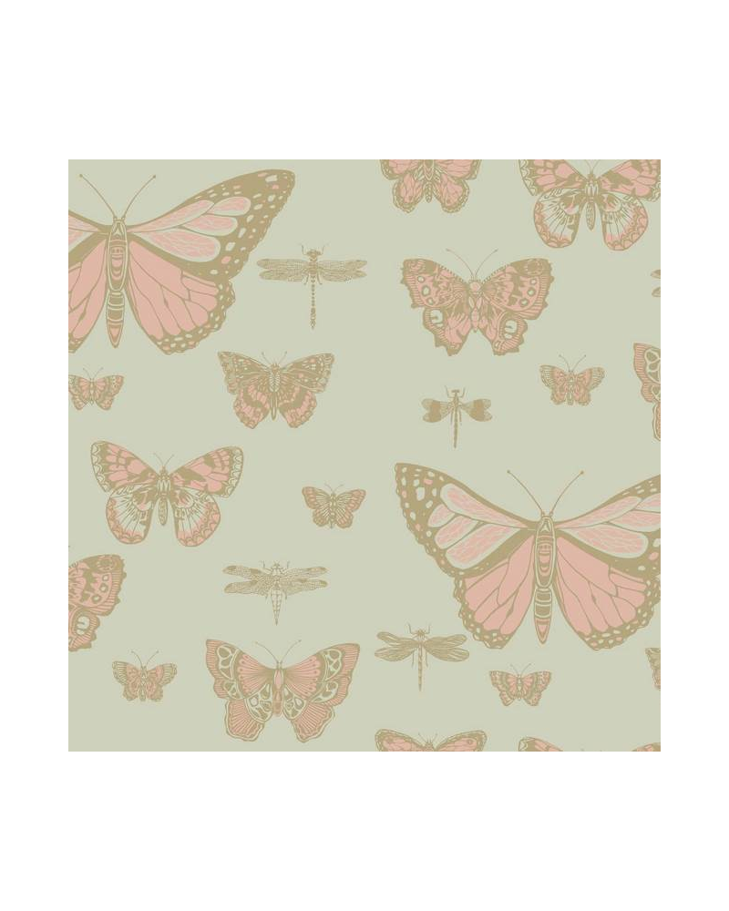 Wallpaper Butterflies and  Dragonflies 103-15063 - COLE and SON