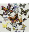 PCL008-01 BUTTERFLY PARADE - MULTICOLORE