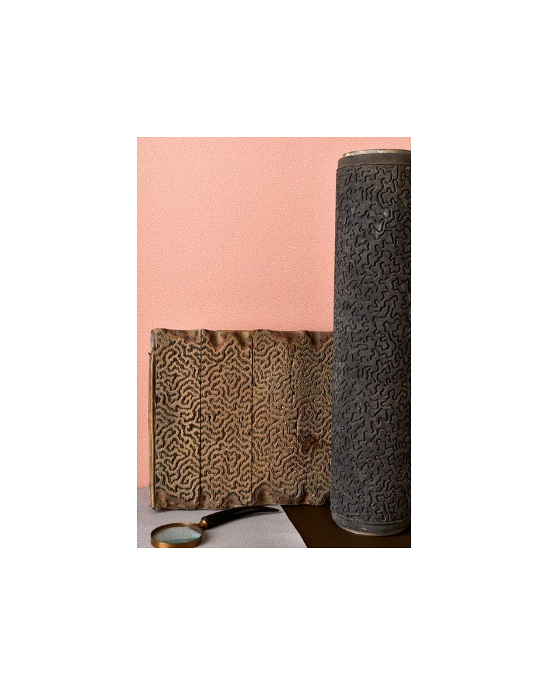 Papel de parede Coral 106-5071 - COLE and SON