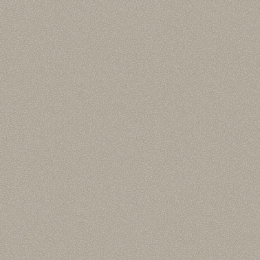 Wallpaper Pebble 106-2016 - COLE and SON