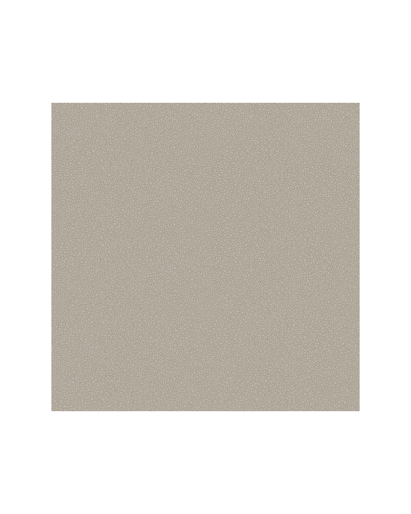 Papel Pintado Pebble 106-2016 - COLE and SON