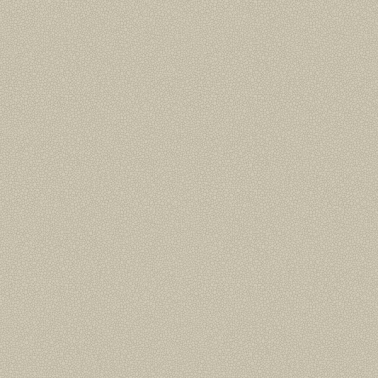 Wallpaper Pebble 106-2019 - COLE and SON