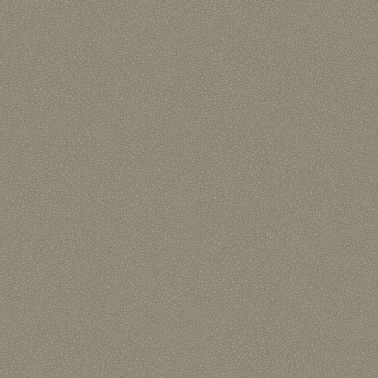 Wallpaper Pebble 106-2020 - COLE and SON