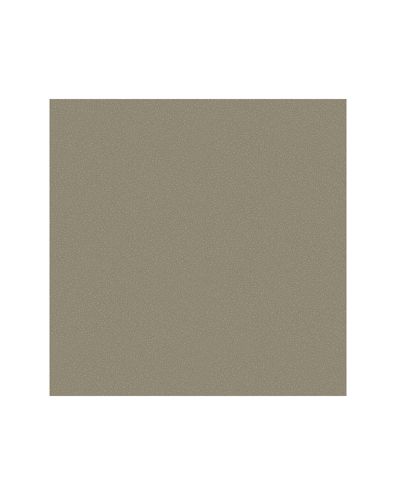 Wallpaper Pebble 106-2020 - COLE and SON