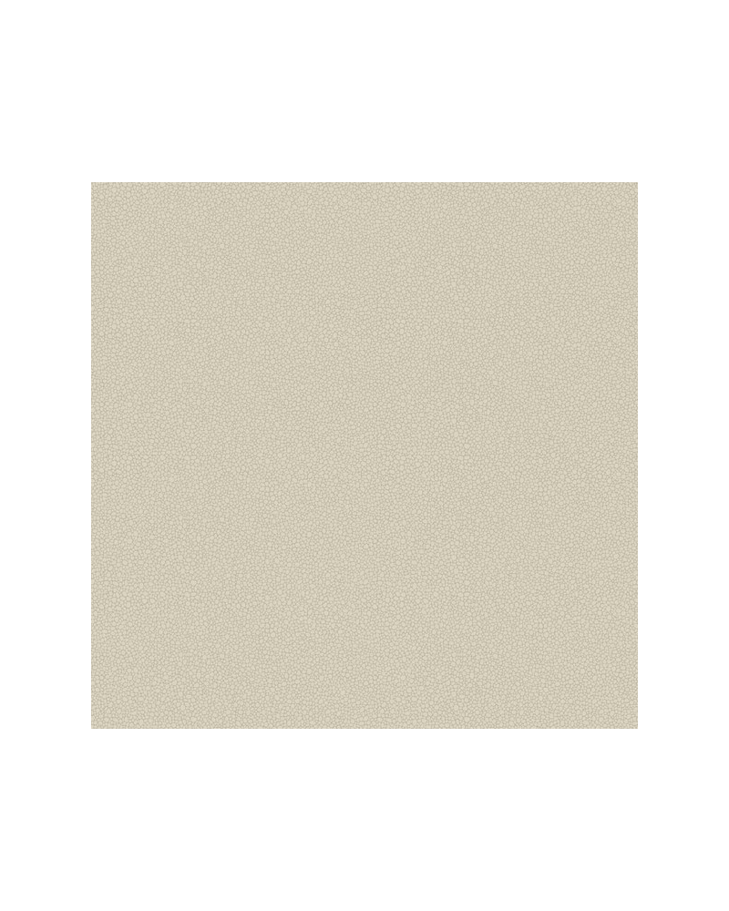 Papier peint Pebble 106-2022 - COLE and SON