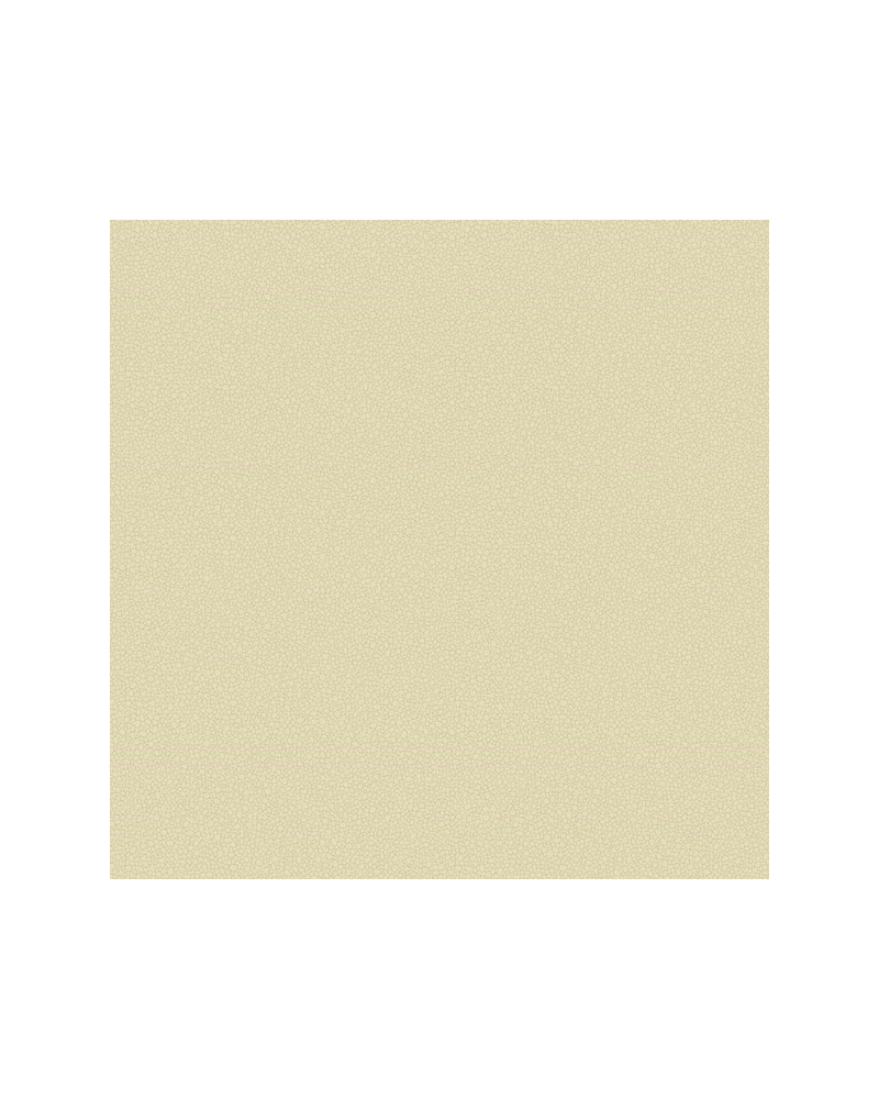 Papel Pintado Pebble 106-2023 - COLE and SON