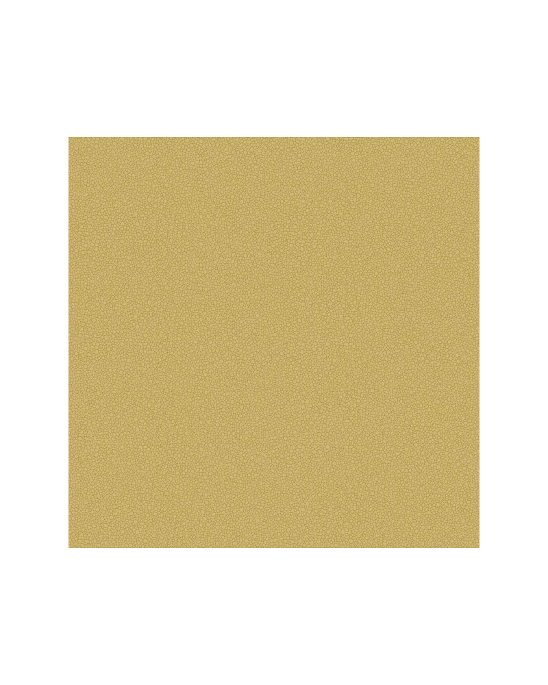 Papel Pintado Pebble 106-2025 - COLE and SON